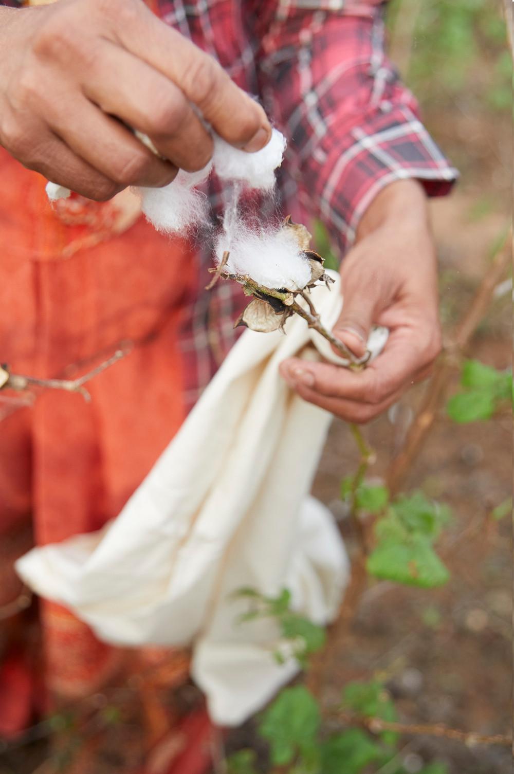 Celebrating 10 Years of the Primark Sustainable Cotton Programme Primark
